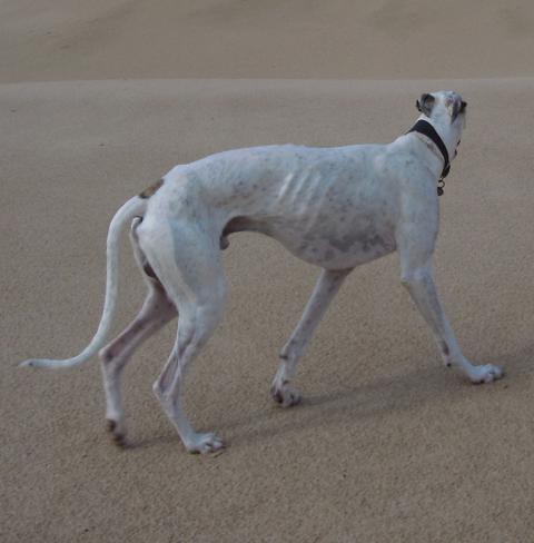 multimedia-foto40021-262-3