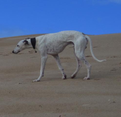 multimedia-foto40022-262-3