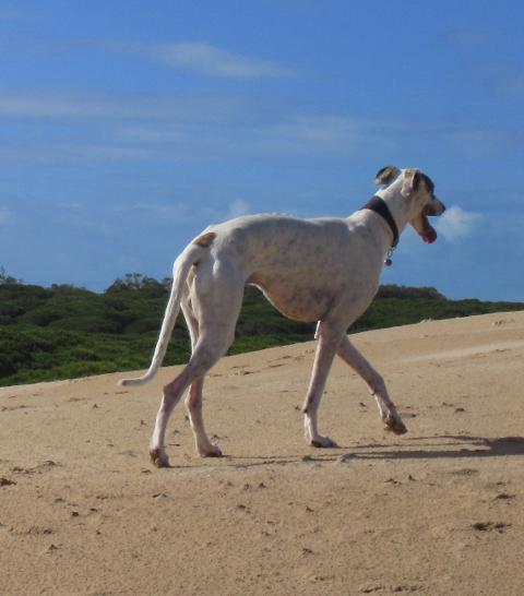 multimedia-foto40023-354-3