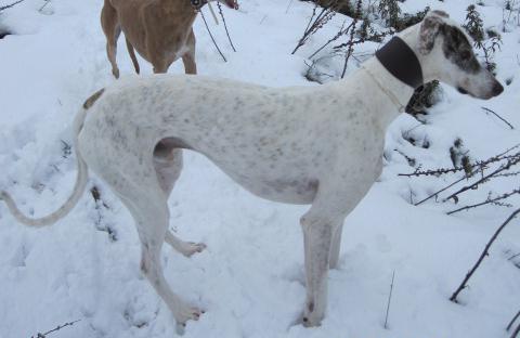 multimedia-foto40024-354-3