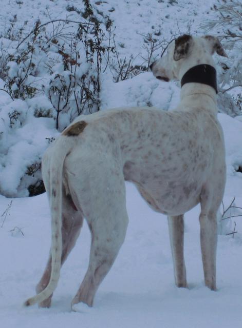 multimedia-foto40025-354-3