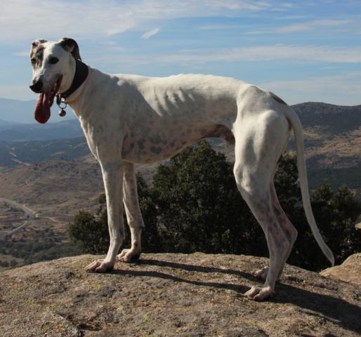 multimedia-foto40026-354-3