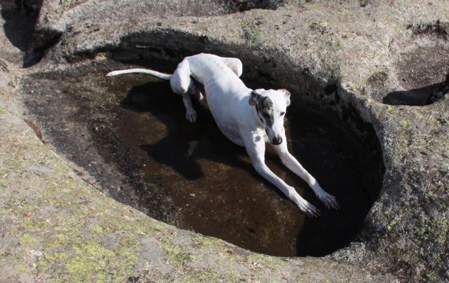 multimedia-foto40027-388-3