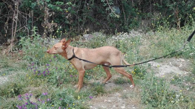 multimedia-foto40031-430-3