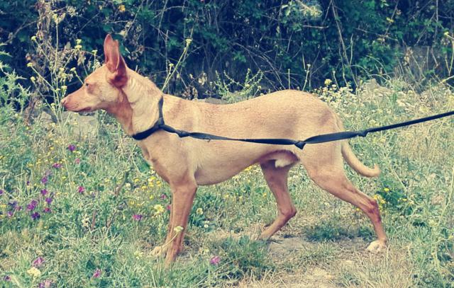 multimedia-foto40032-430-3