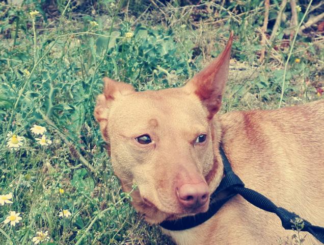 multimedia-foto40033-430-3