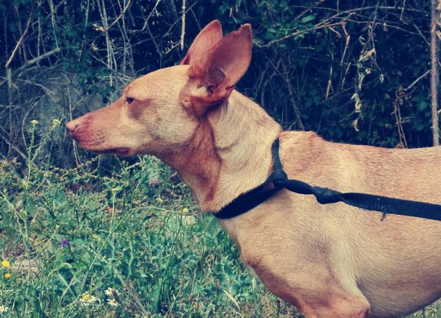 multimedia-foto40034-430-3