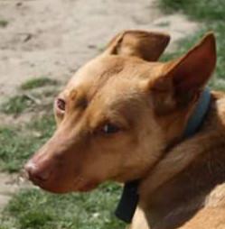 multimedia-foto40035-431-3