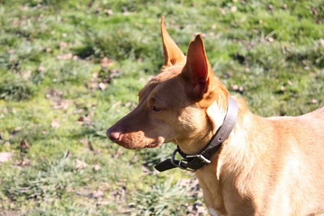 multimedia-foto40036-431-3