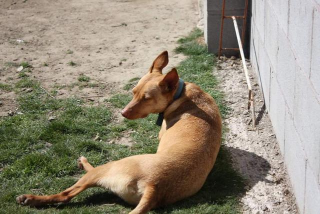 multimedia-foto40037-431-3