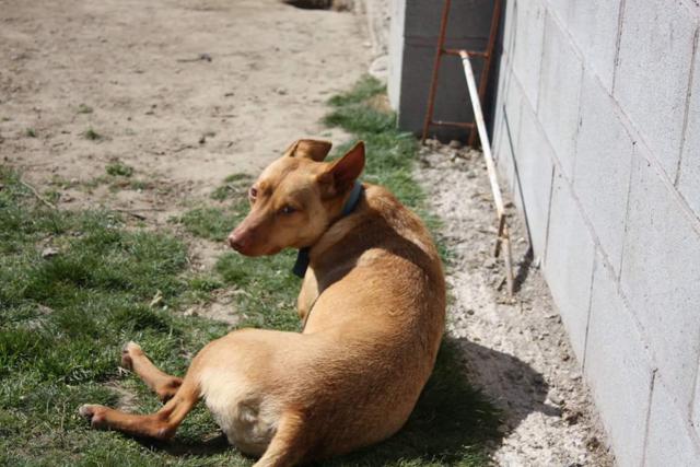 multimedia-foto40038-431-3