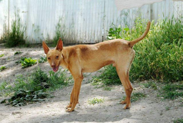 multimedia-foto40039-432-3