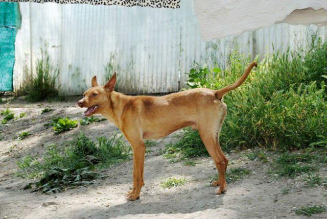 multimedia-foto40040-432-3