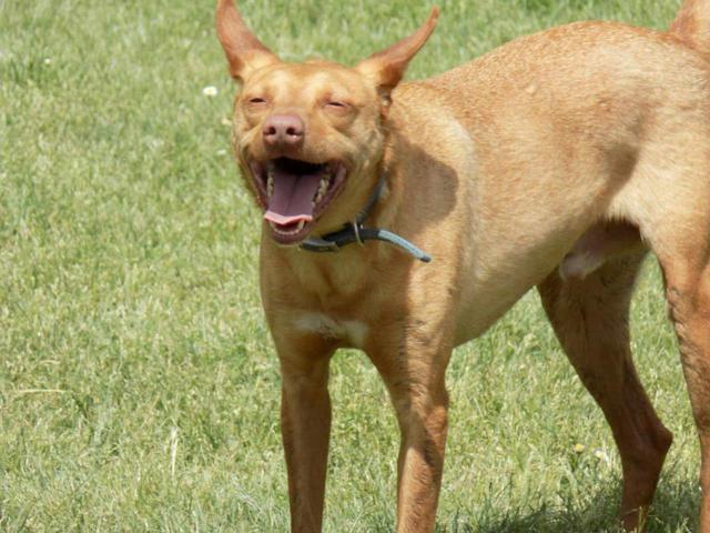 multimedia-foto40041-432-3