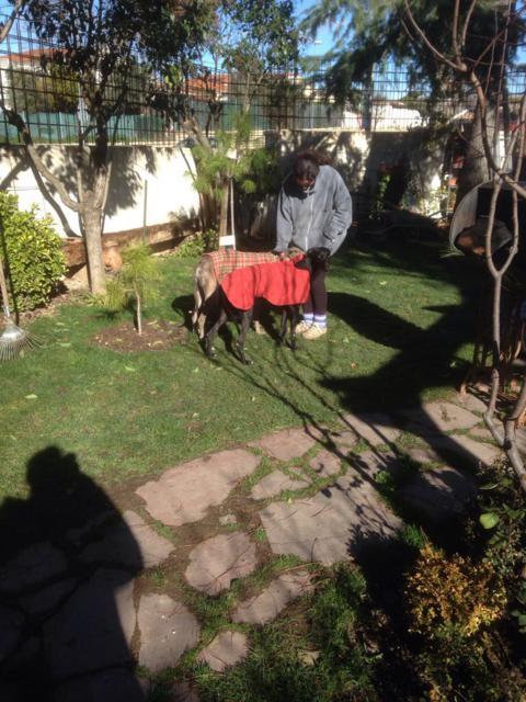 multimedia-foto40084-610-3