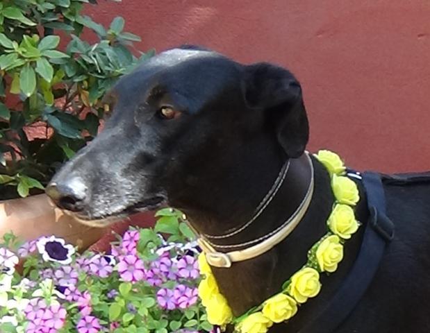 multimedia-foto40090-611-3