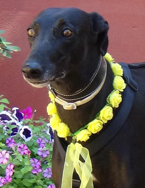 multimedia-foto40092-611-3