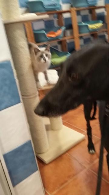 multimedia-foto40101-612-3