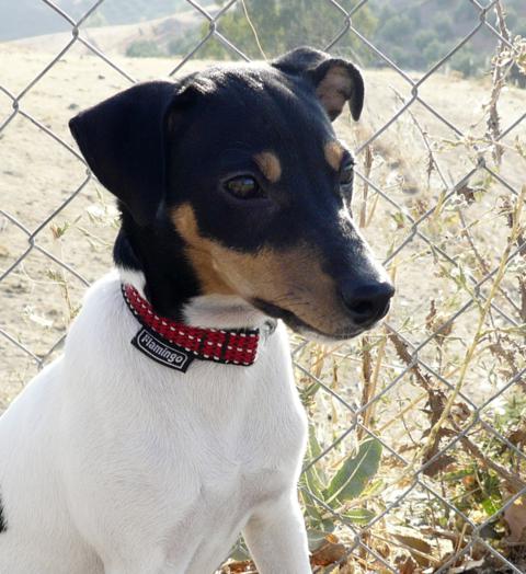 multimedia-foto40122-61-3