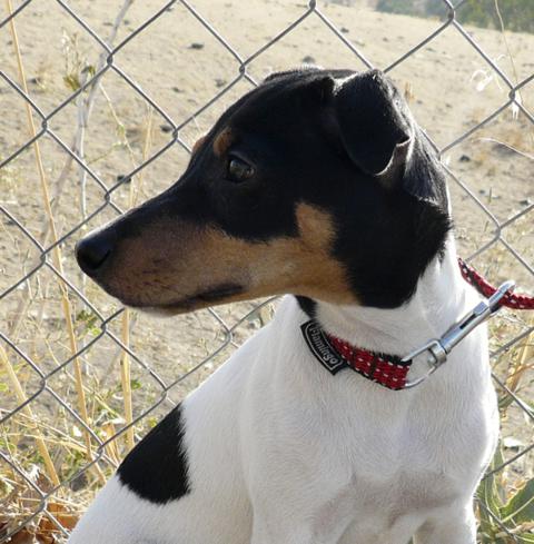 multimedia-foto40123-61-3