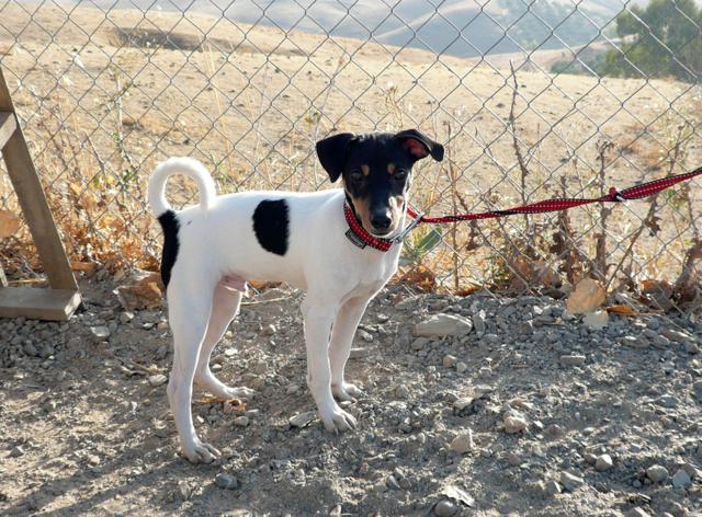 multimedia-foto40124-62-3