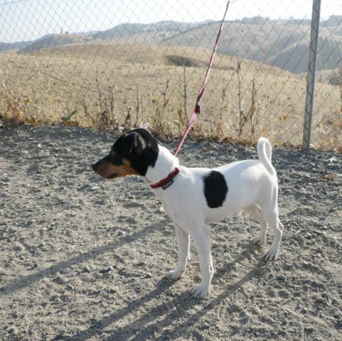 multimedia-foto40125-62-3