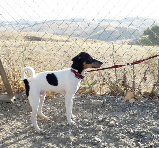 multimedia-foto40126-62-3