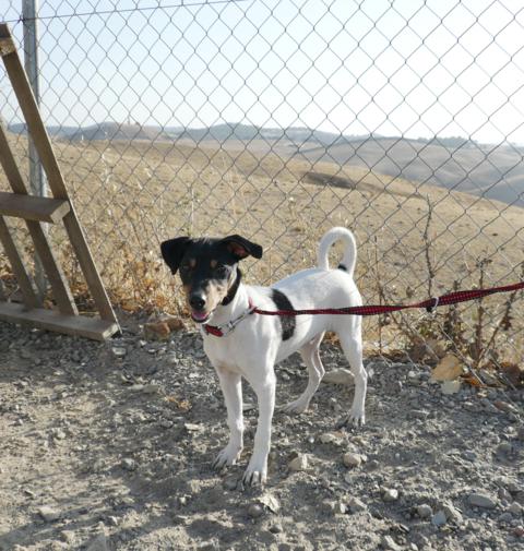 multimedia-foto40127-62-3