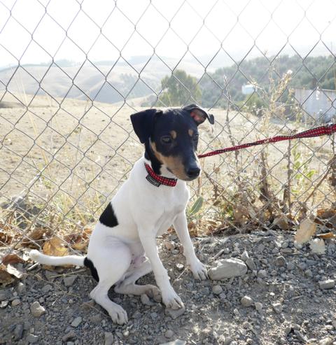 multimedia-foto40128-62-3