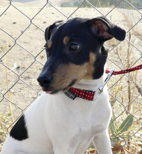 multimedia-foto40130-63-3