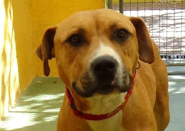 multimedia-foto40144-884-3