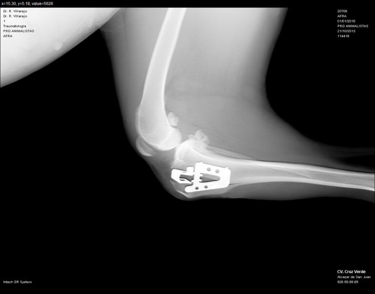 multimedia-foto40146-342-3