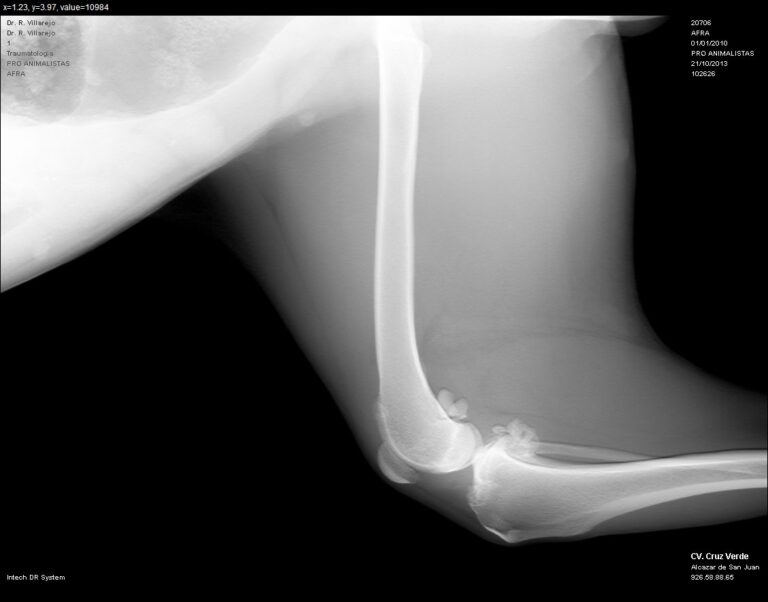 multimedia-foto40147-343-3