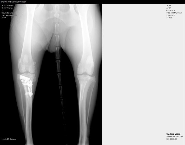 multimedia-foto40148-343-3