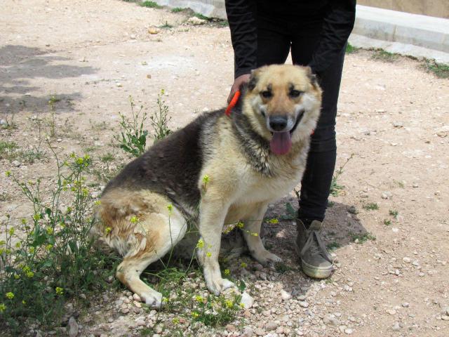 multimedia-foto40149-455-3