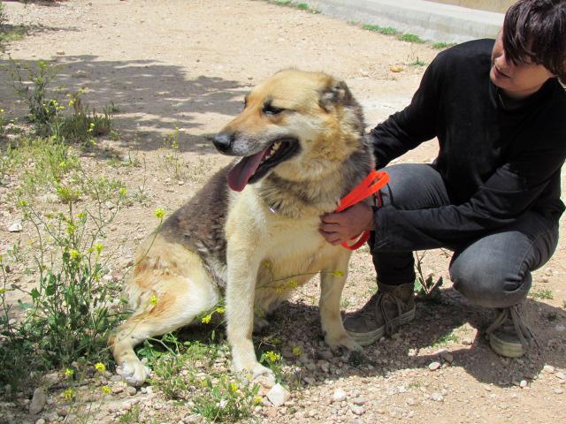 multimedia-foto40150-455-3