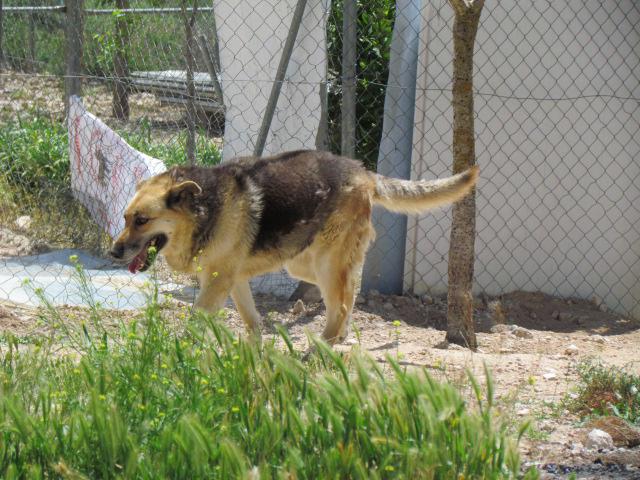 multimedia-foto40152-535-3