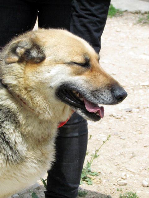 multimedia-foto40153-535-3