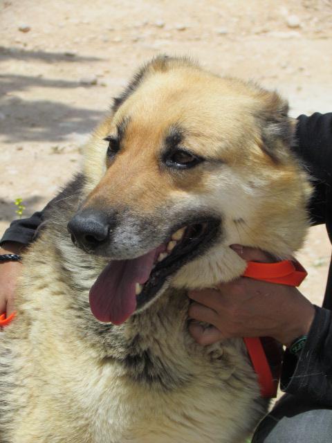 multimedia-foto40154-553-3