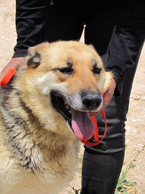 multimedia-foto40155-554-3