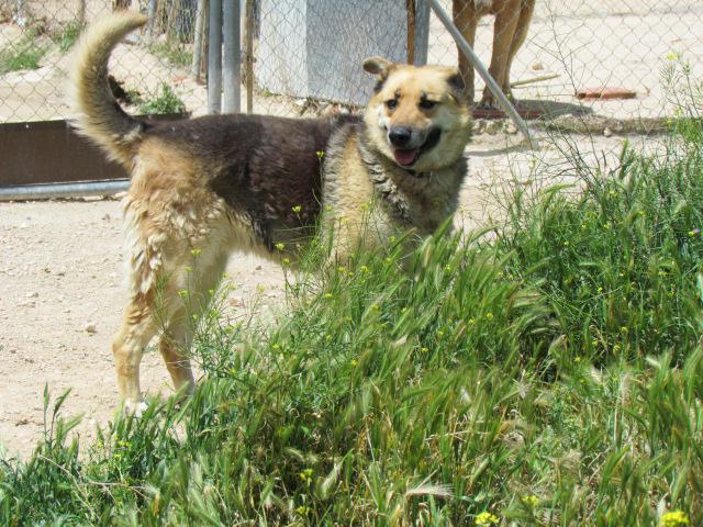 multimedia-foto40156-581-3