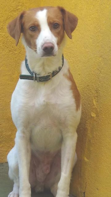 multimedia-foto40193-80-3