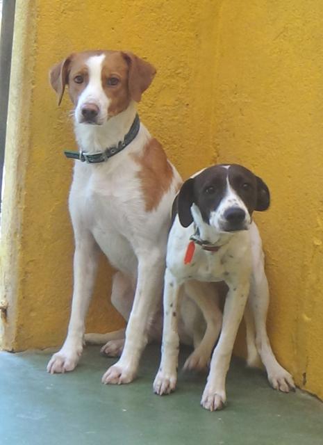 multimedia-foto40194-208-3