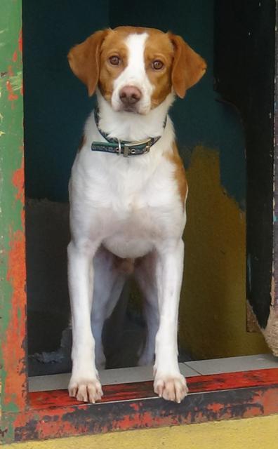 multimedia-foto40195-209-3