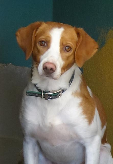 multimedia-foto40196-209-3