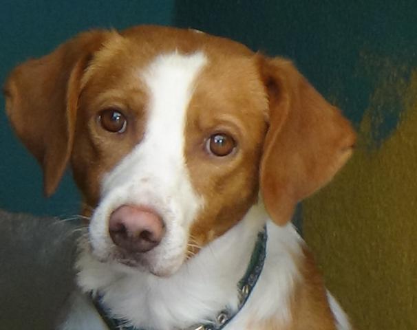 multimedia-foto40197-209-3