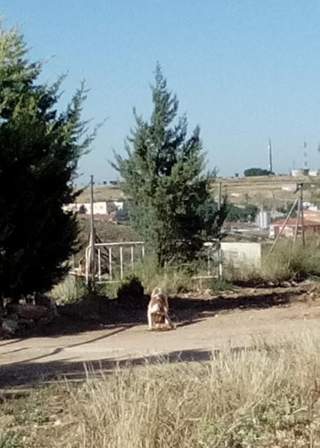 multimedia-foto40198-305-3