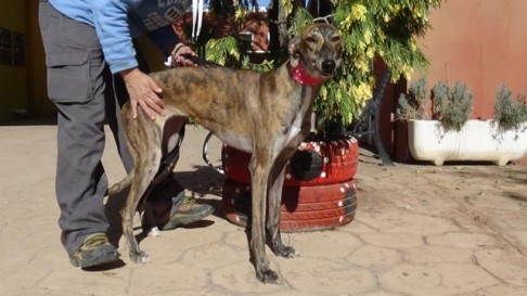 multimedia-foto40200-673-3