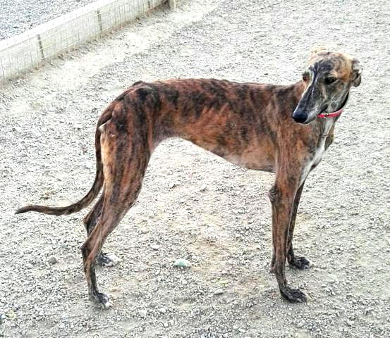 multimedia-foto40201-673-3