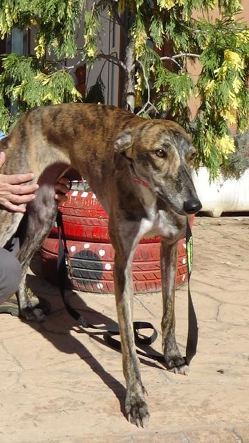 multimedia-foto40202-673-3